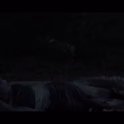 FIFI RONG FINE ART MUSIC VIDEOS