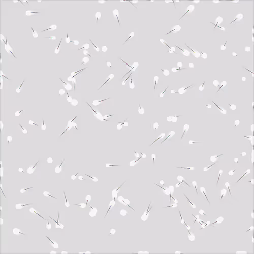 Item #13 Media