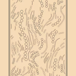 96