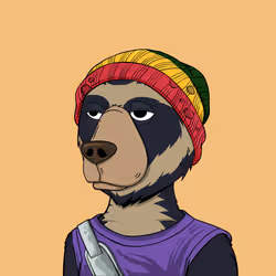 NotOkayBears #1264