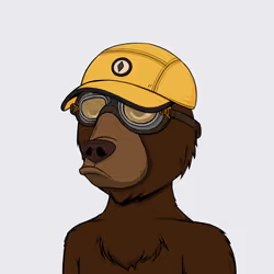 NotOkayBears #5019