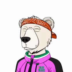 NotOkayBears #7773