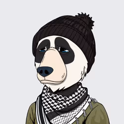 NotOkayBears #3598