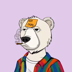 NotOkayBears #5851