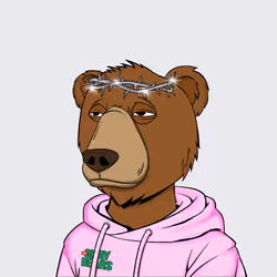 NotOkayBears #564