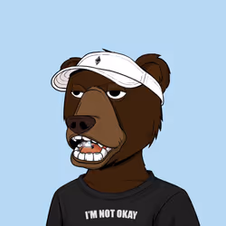 NotOkayBears #4534