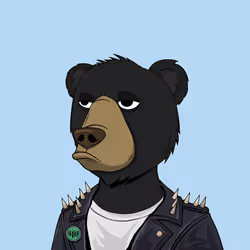 NotOkayBears #8884
