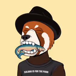 NotOkayBears #6181