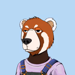 NotOkayBears #8649