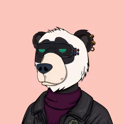 NotOkayBears #2446