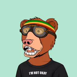 NotOkayBears #2352