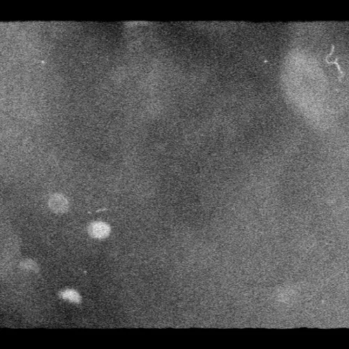 Unidentified contract - 3JfRlubP5Z