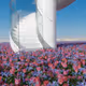 Infinite Gardens