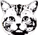 Bully Meow Music 33