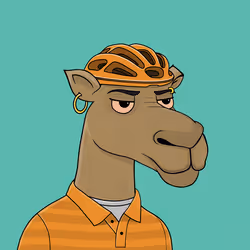 Camel #3699