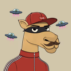 Camel #6117