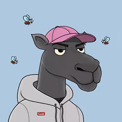 Camel #1542