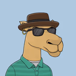 Camel #4017