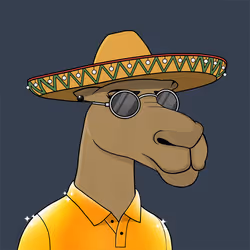 Camel #918