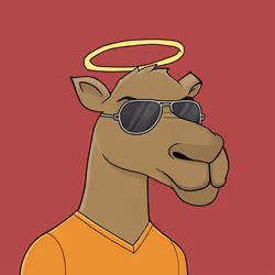 Camel #1551