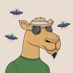 Camel #5386
