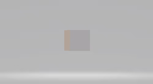 Item #5 Media