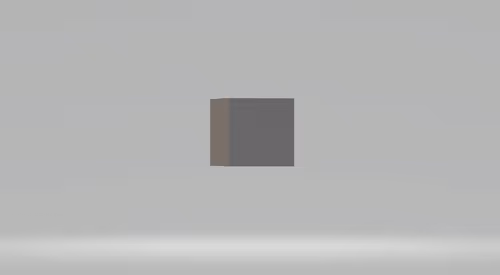 Item #9 Media