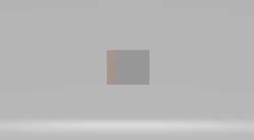 Item #6 Media