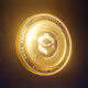 Shido Coin