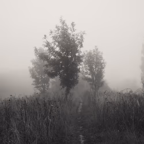 peace and quiet