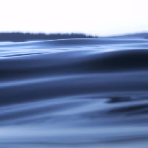 SHIFTY SEAS