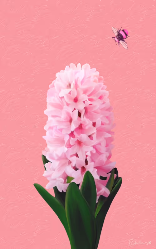 Item #4 Media