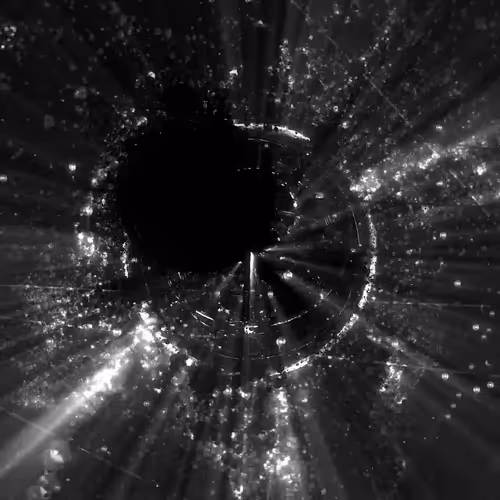 Mirror Universe