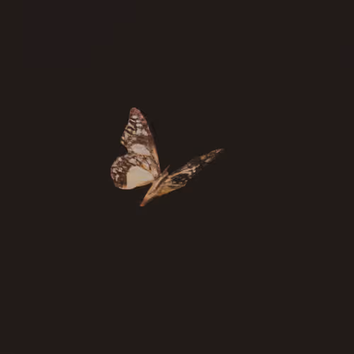 Migration