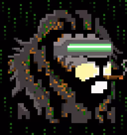 456