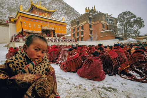 Item #41600090046 Media