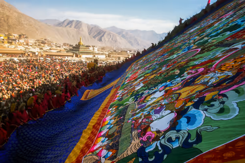 Item #41600090061 Media