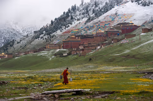 Item #41600090065 Media