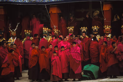 Item #41600090014 Media