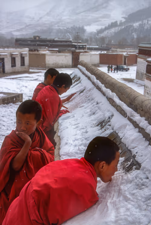 Item #41600090026 Media