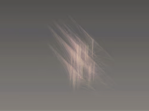 Item #54 Media