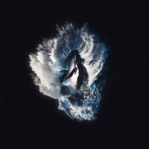 GRAVITY: TIMMBOSLICE