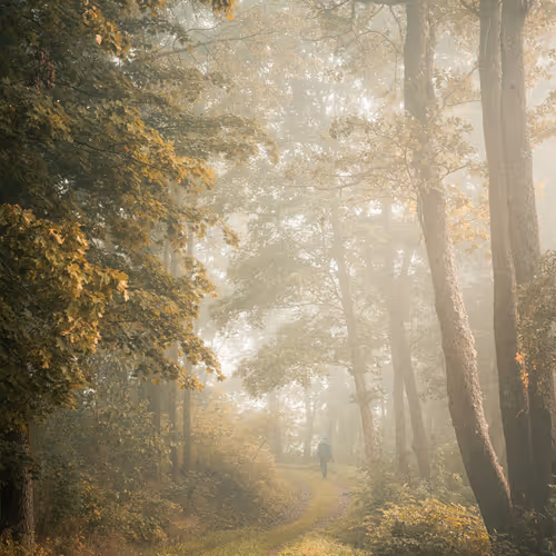 EMBRACE THE PATH: MIKKO LAGERSTEDT