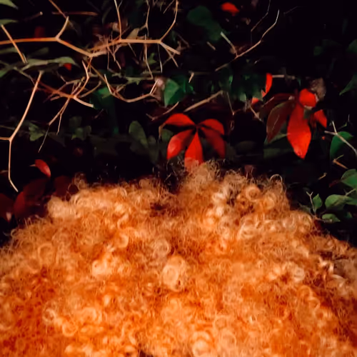 les cheveux naturels