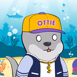 Oh Ottie #1324