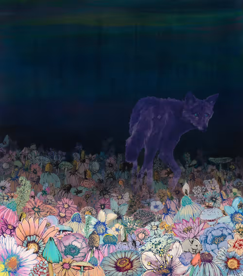 Item #37700050017 Media