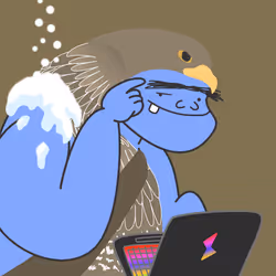 262