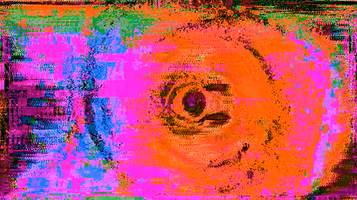 Item #1000572 Media