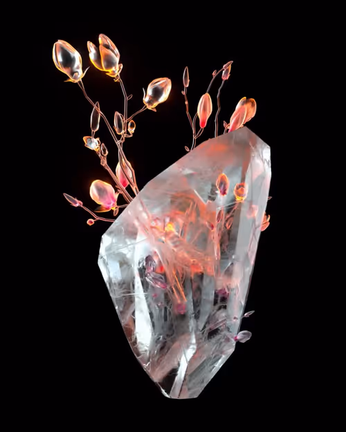 Item #23300020003 Media