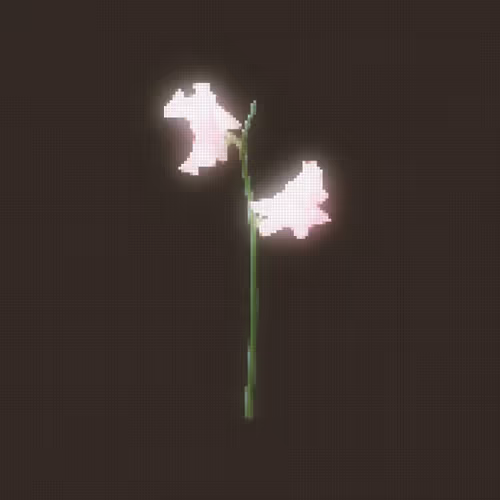 Item #55 Media